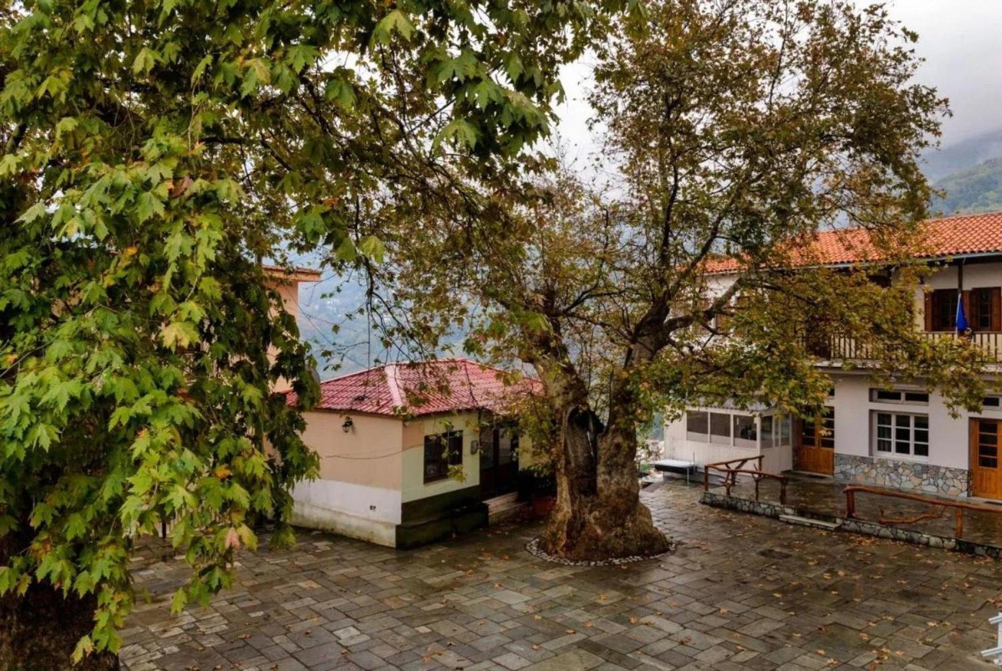 Hara'S House Pelion Apartment Makrirrakhi Bagian luar foto