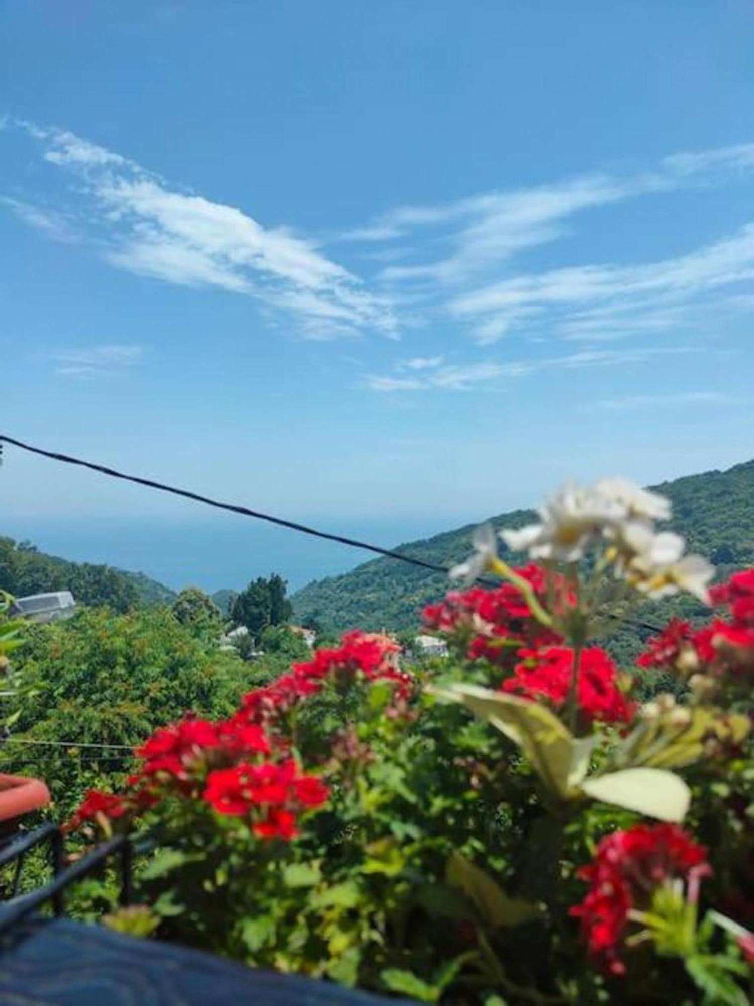 Hara'S House Pelion Apartment Makrirrakhi Bagian luar foto