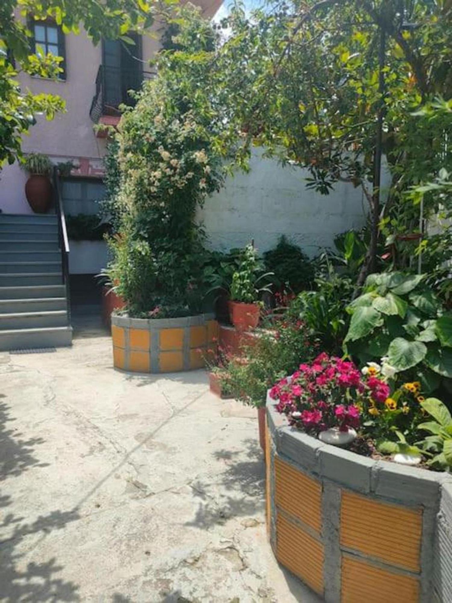 Hara'S House Pelion Apartment Makrirrakhi Bagian luar foto